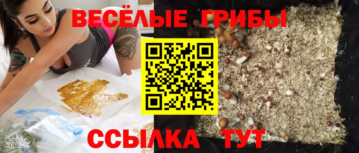 Галлюциногенные грибы ЛСД  Вход с VPN  Куйбышев  Псилоцибиновые грибы Cubensis 