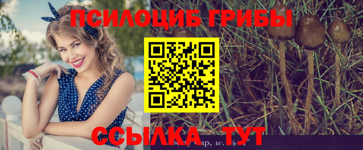 Псилоцибиновые грибы MAGIC MUSHROOMS Куйбышев